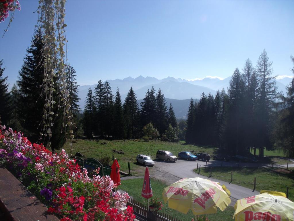 Hôtel Gasthof Edelbrunn à Ramsau am Dachstein Extérieur photo