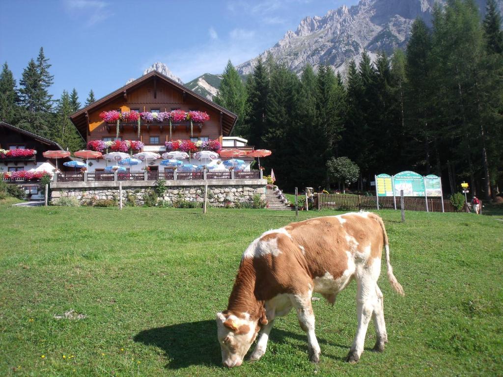 Hôtel Gasthof Edelbrunn à Ramsau am Dachstein Extérieur photo