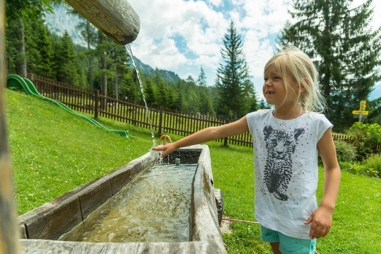 Hôtel Gasthof Edelbrunn à Ramsau am Dachstein Extérieur photo